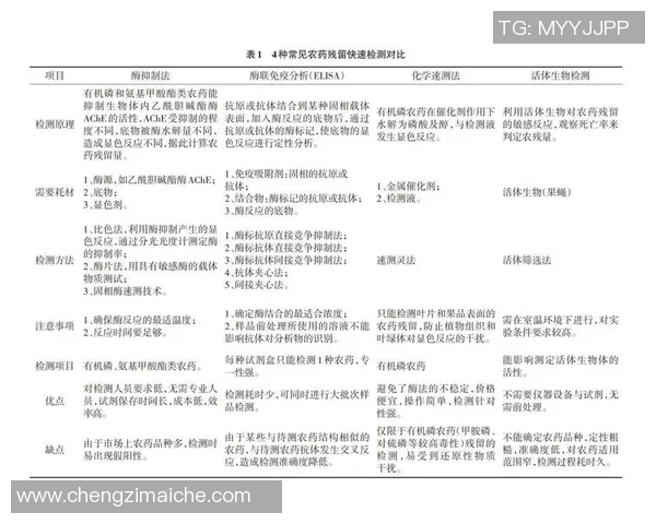 足球场建设的现状与未来发展趋势探讨及其对社区的影响分析 足球场建设的现状与未来发展趋势探讨及其对社区的影响分析