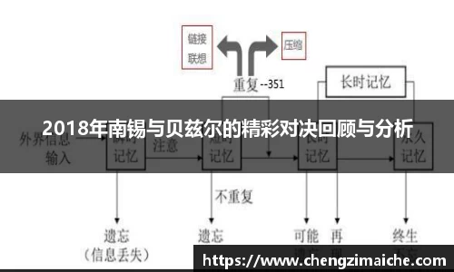 2018年南锡与贝兹尔的精彩对决回顾与分析